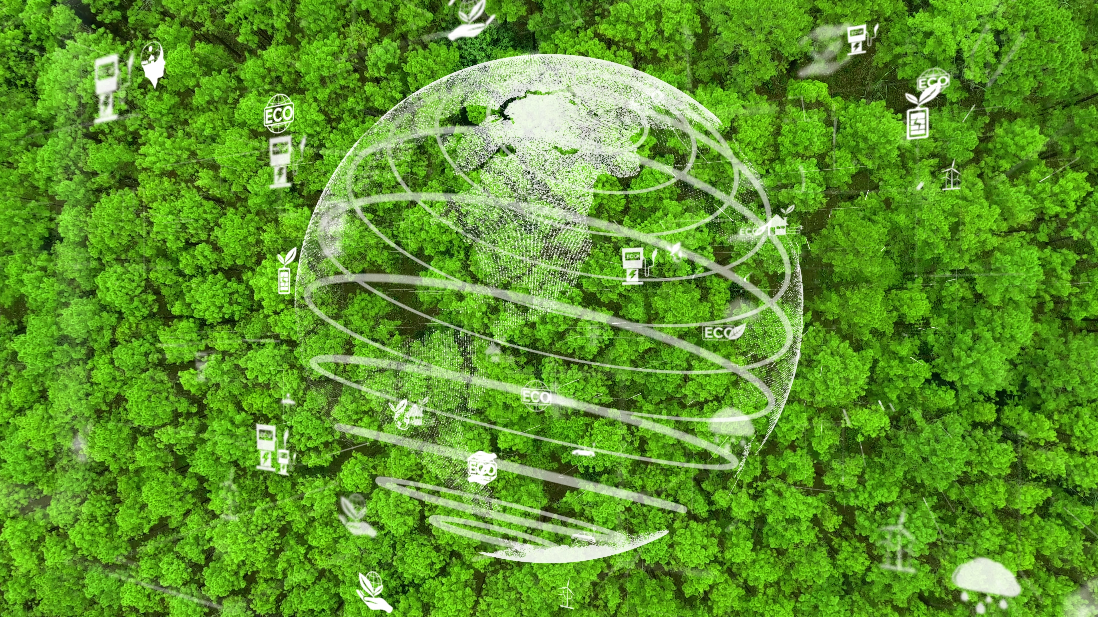 shutterstock 1919349500